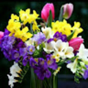 Meet your Posher, Aad